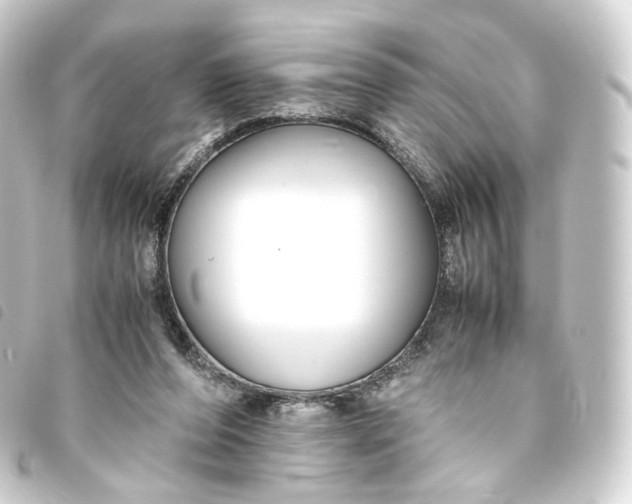X0000093750208200710301131