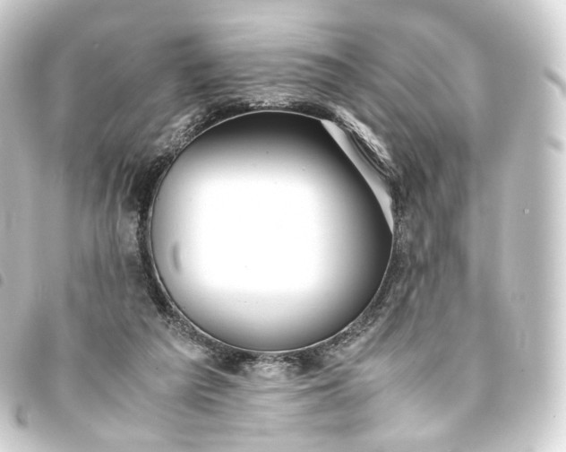 X0000093750209200710301131