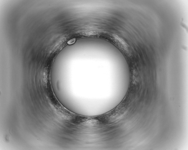 X0000093750210200710301131