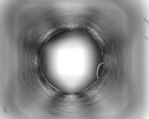 X0000093750212200710301131