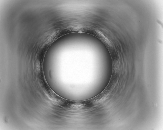 X0000093750213200710301131