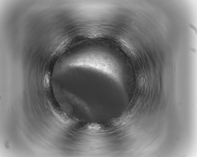 X0000093750214200710301131