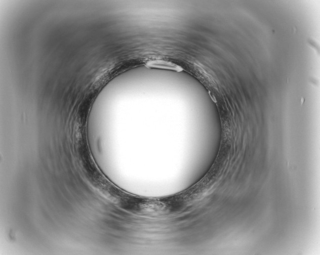 X0000093750215200710301131