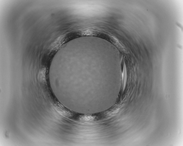 X0000093750217200710301131