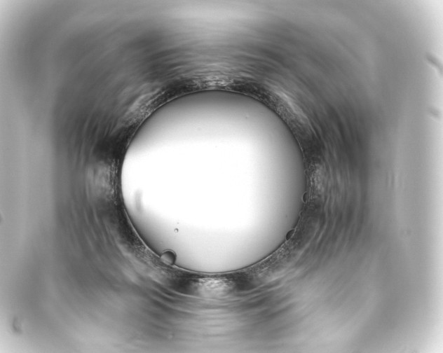X0000093750218200710301131
