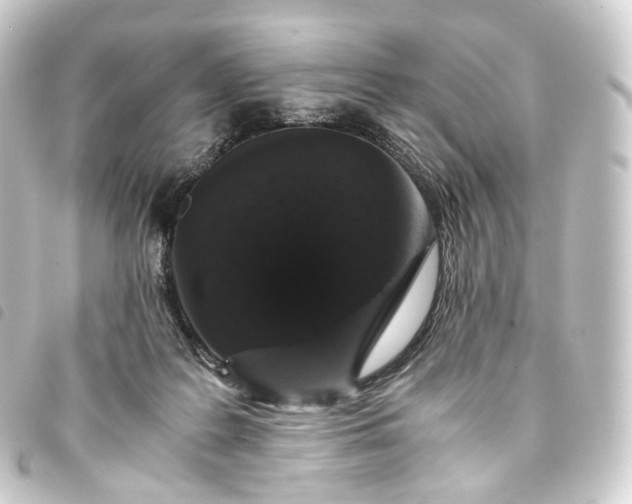 X0000093750219200710301131
