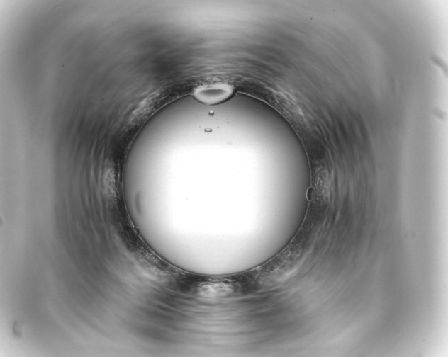 X0000093750220200710301131