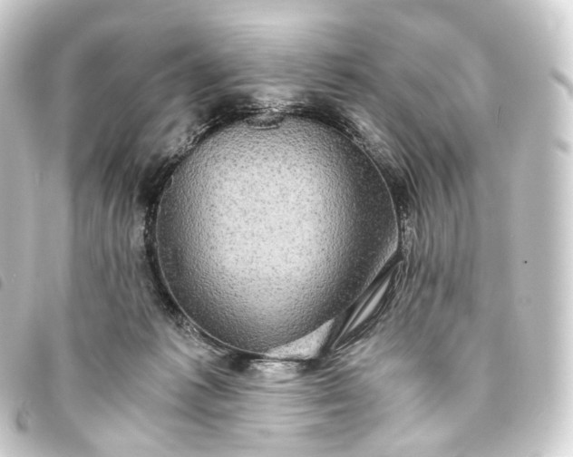 X0000093750221200710301131