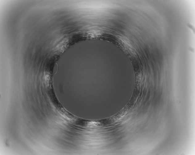 X0000093750222200710301131