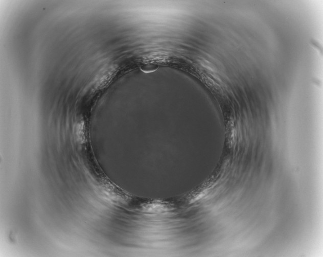X0000093750224200710301131