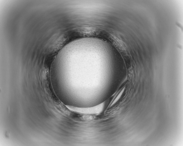 X0000093750225200710301131