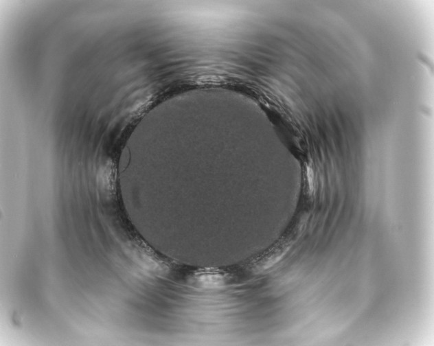 X0000093750228200710301131