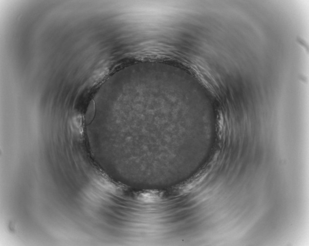 X0000093750232200710301131