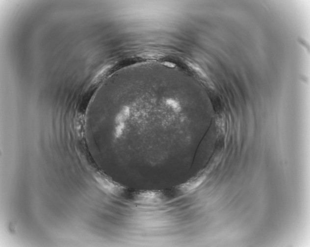 X0000093750237200710301131