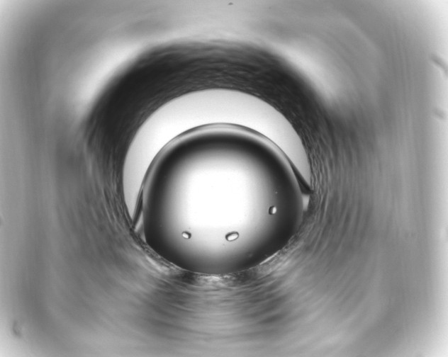X0000093750239200710301131