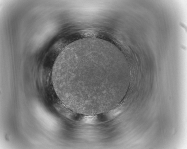 X0000093750240200710301131
