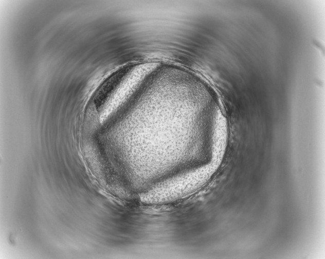 X0000093750241200710301130