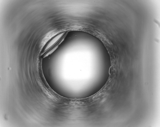 X0000093750242200710301130