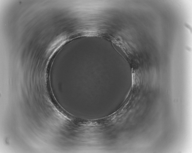 X0000093750243200710301130