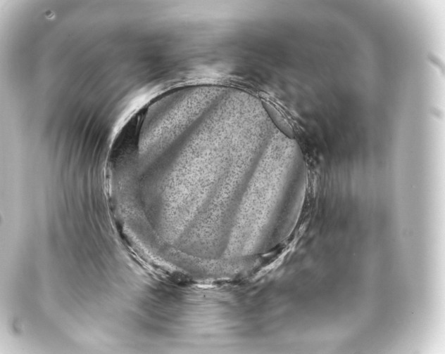 X0000093750244200710301130