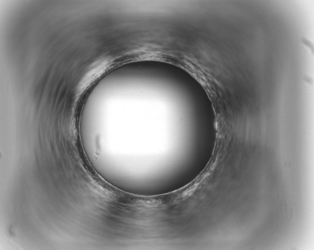 X0000093750245200710301130