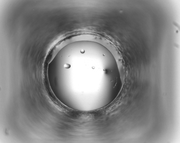 X0000093750248200710301130