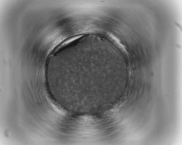 X0000093750250200710301130