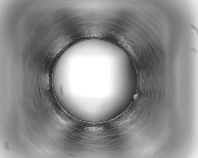 X0000093750251200710301130