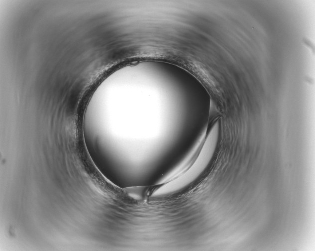 X0000093750252200710301130