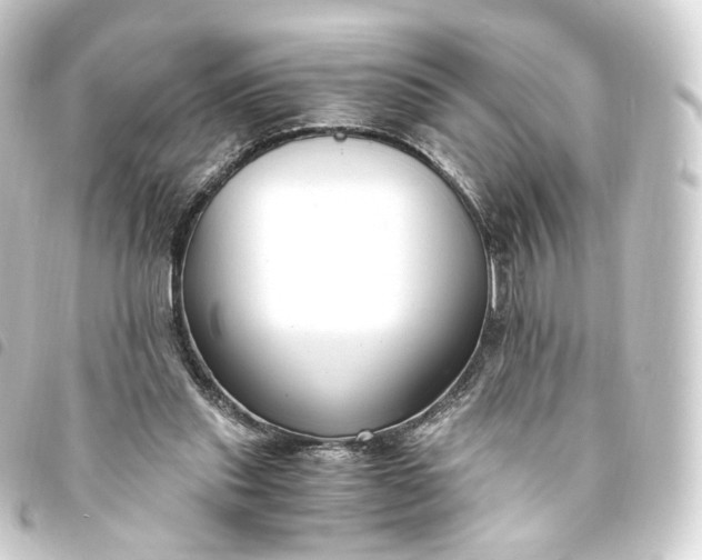 X0000093750253200710301130