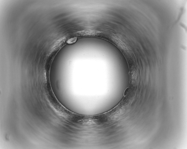 X0000093750254200710301130