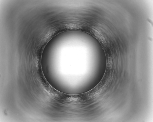 X0000093750255200710301130