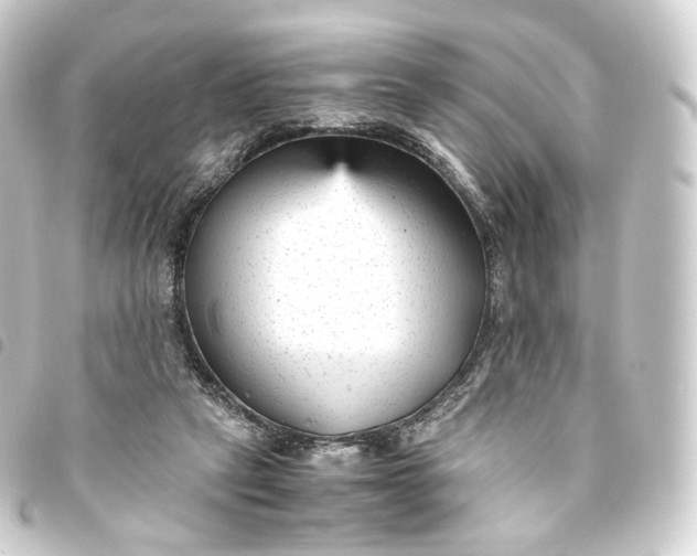 X0000093750257200710301130