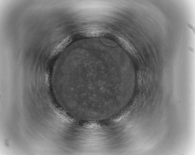 X0000093750258200710301130