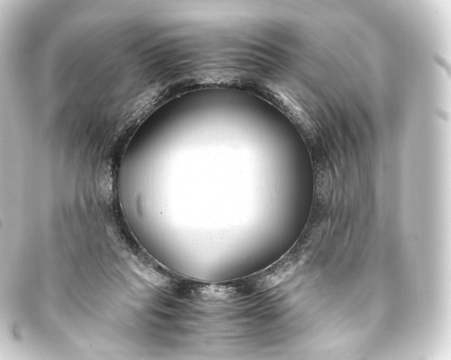 X0000093750261200710301130