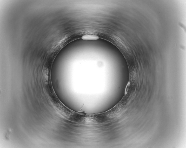 X0000093750264200710301130