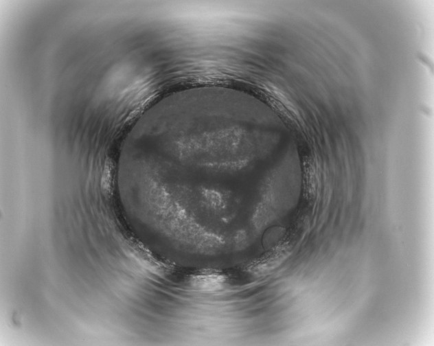X0000093750266200710301130