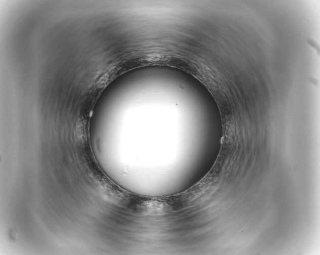 X0000093750272200710301130