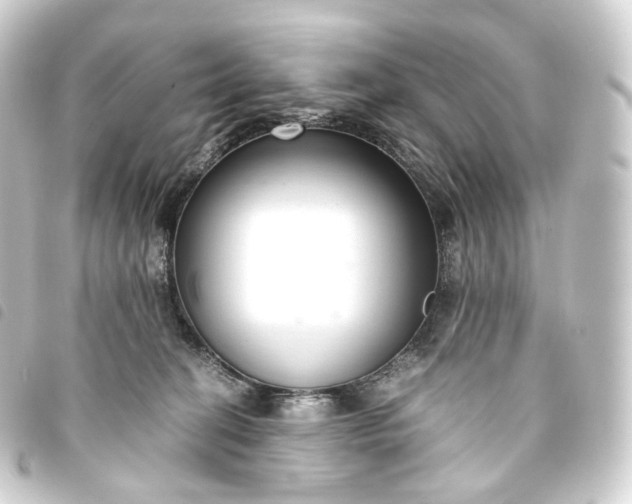 X0000093750274200710301130