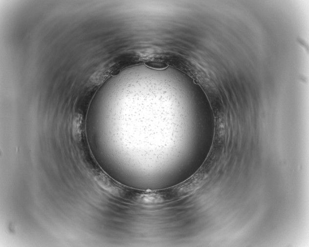 X0000093750275200710301130