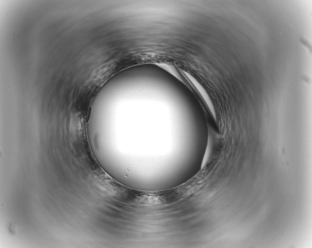 X0000093750276200710301130