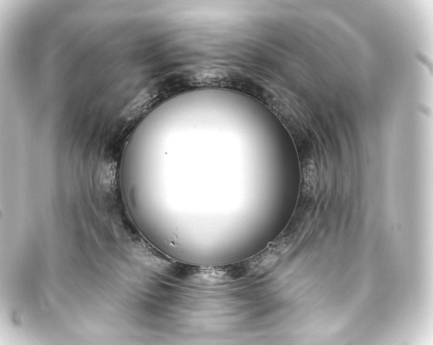X0000093750278200710301130