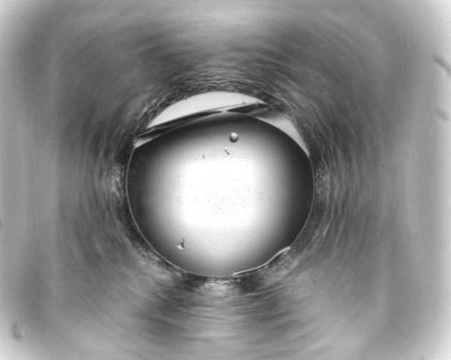 X0000093750280200710301130