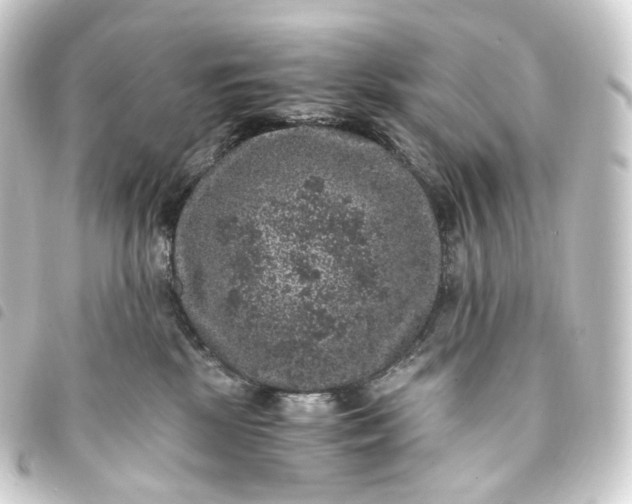 X0000093750281200710301130