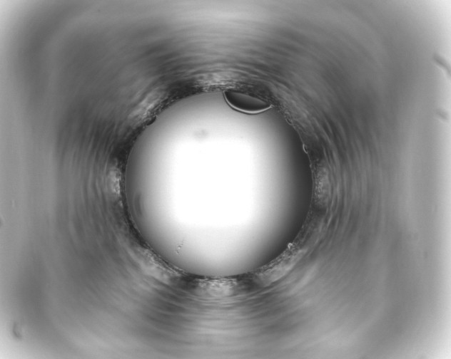 X0000093750282200710301130