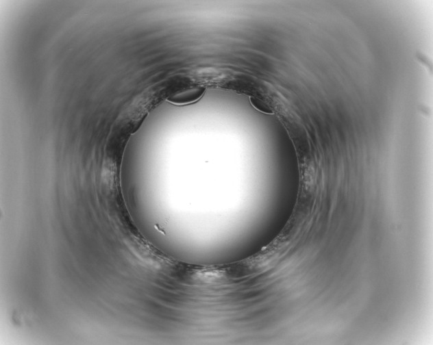X0000093750283200710301130