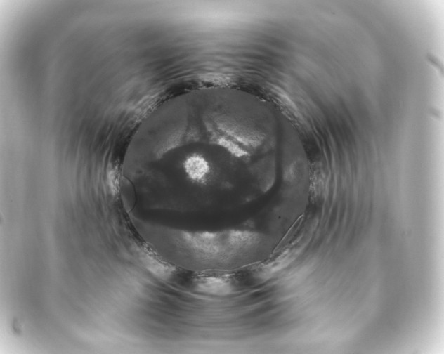 X0000093750285200710301130