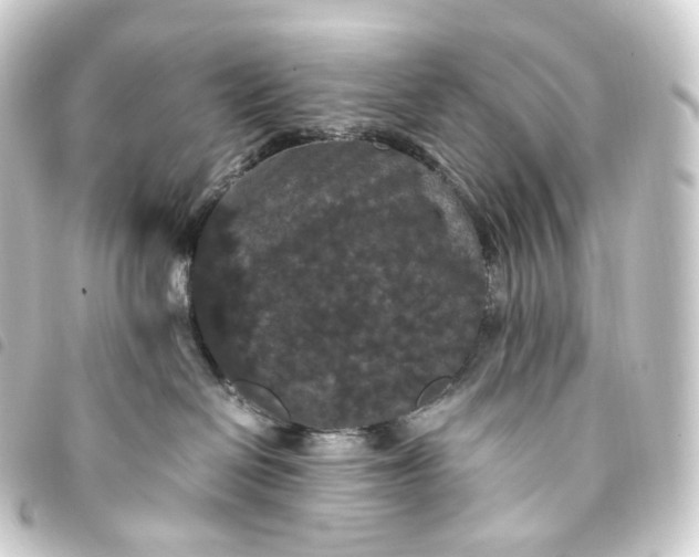 X0000093750286200710301130