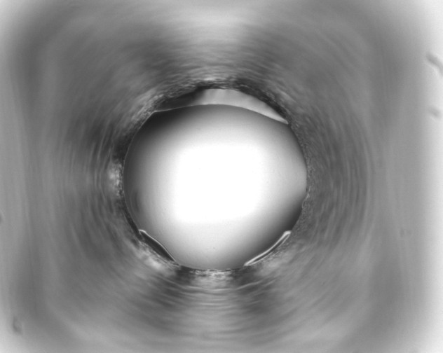 X0000093750288200710301131