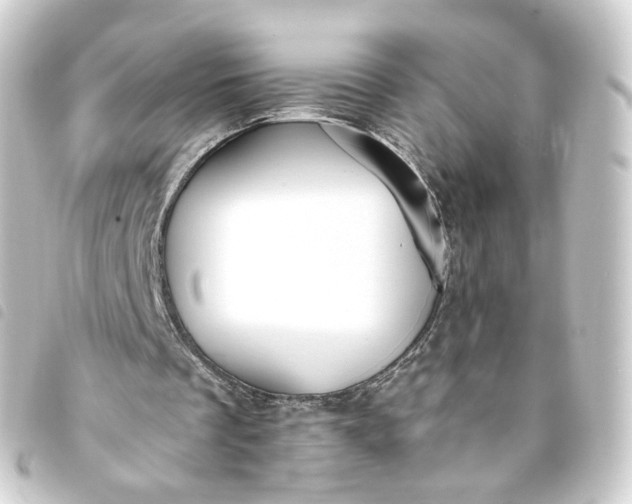 X0000093750289200710301130